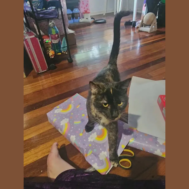 Photo of Penelope