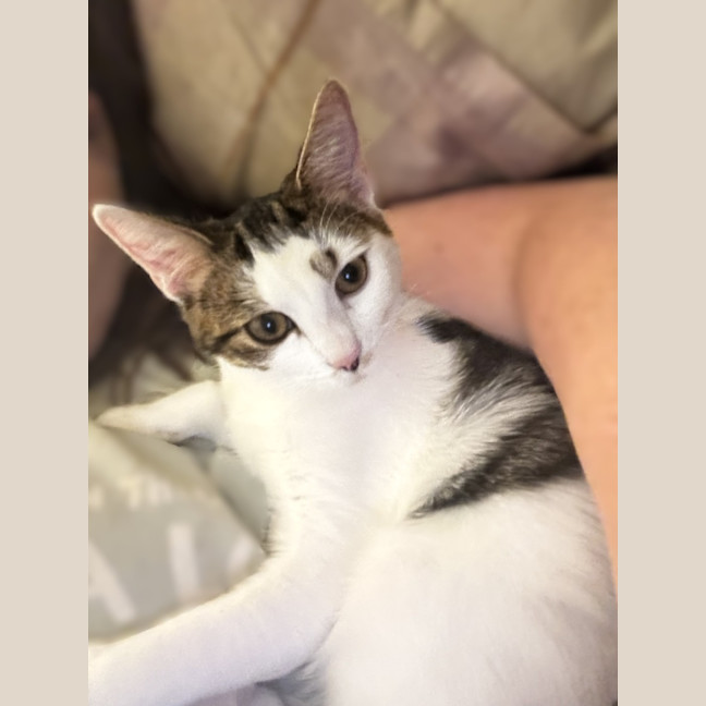 Photo of Francesca