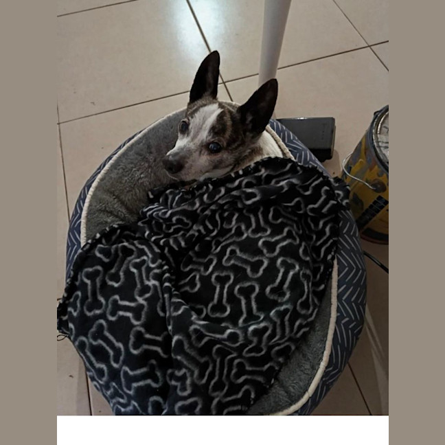 Photo of Sunny And Pj 