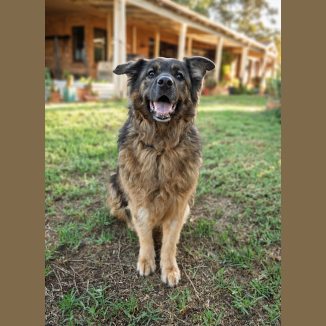 Photo of Zena