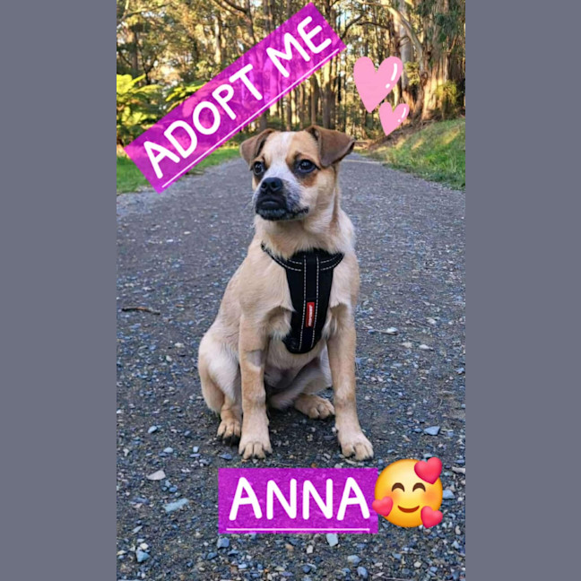 Photo of Anna