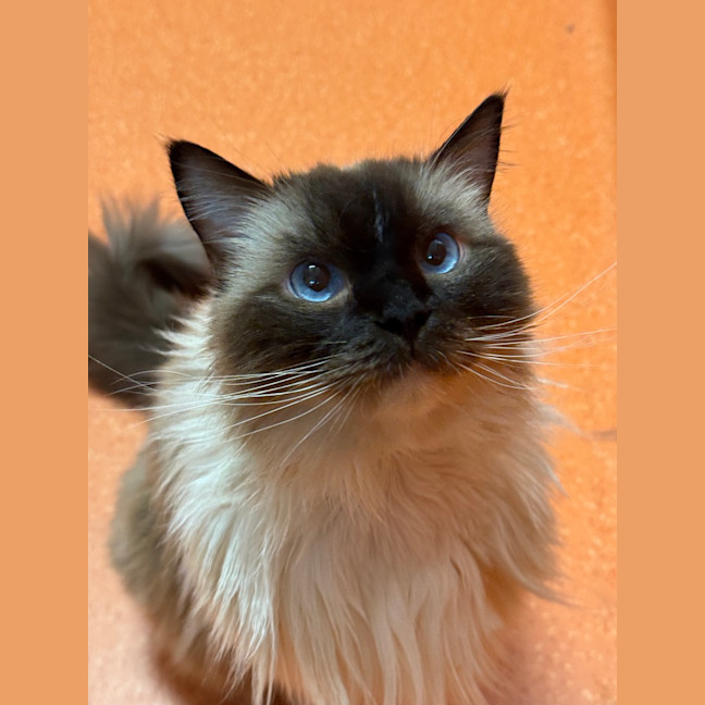 Photo of Lacie