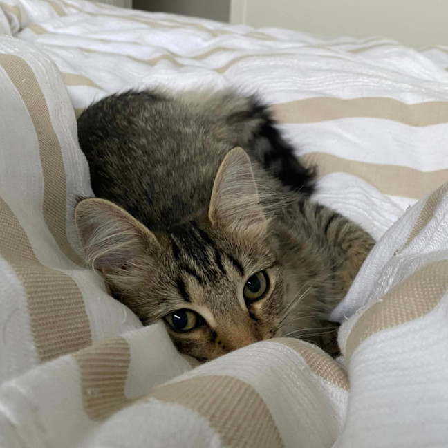 Photo of Rizzo