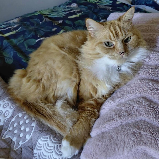 Photo of 4674   Miya