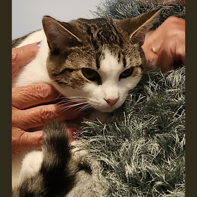 Photo of Tilly