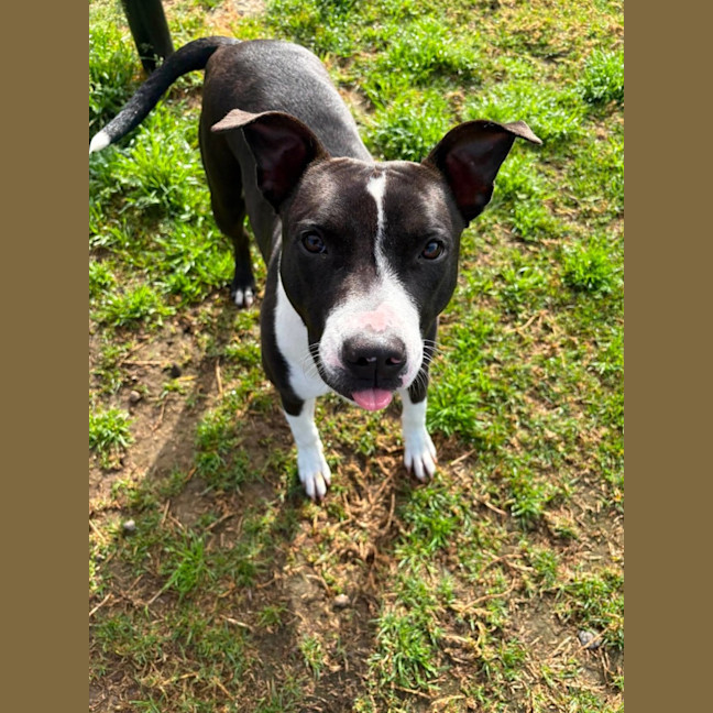 Photo of Molly Imp 1754