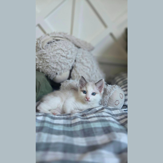 Photo of Lexi