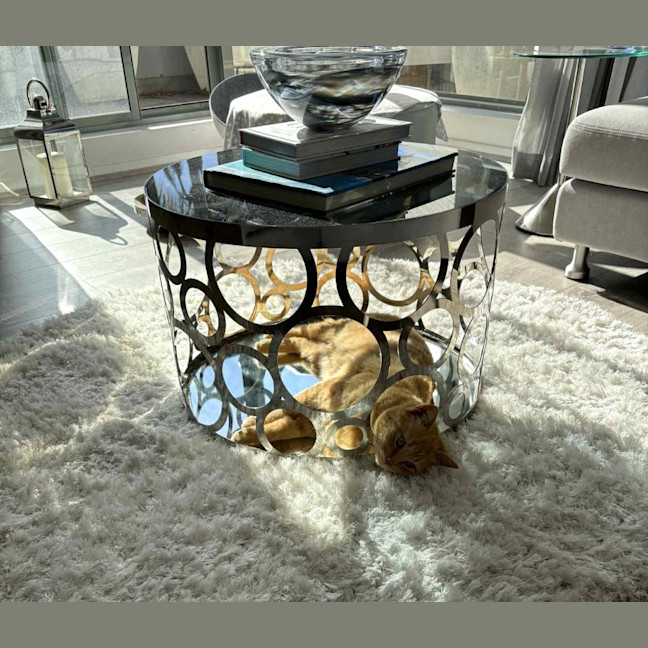 Photo of Sponge Cake