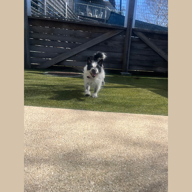 Photo of Roxie