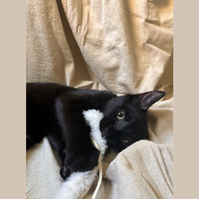 Photo of Philip