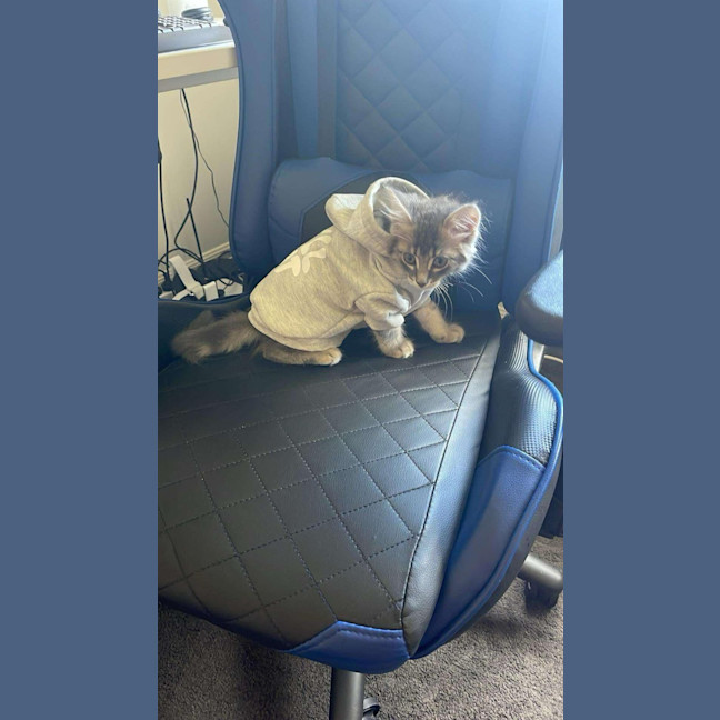 Photo of Maurice 💙