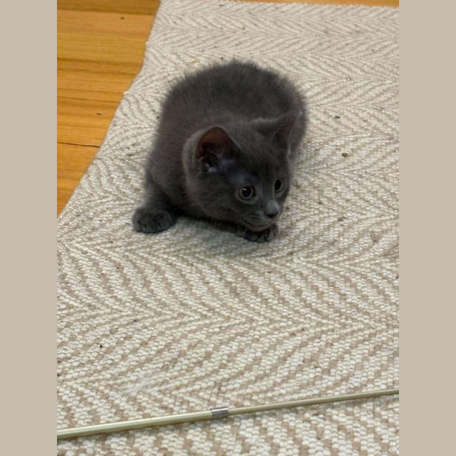 Photo of Oli