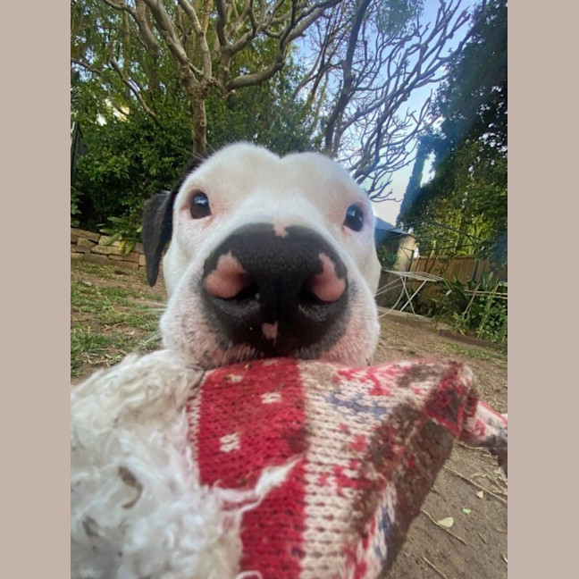 Photo of Hugo