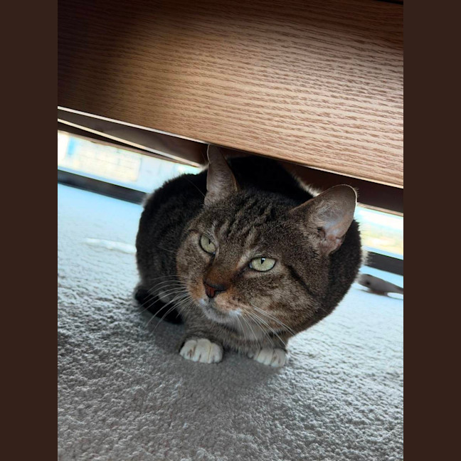 Photo of Tom