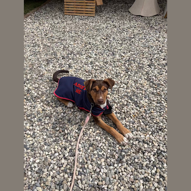 Photo of Winnie