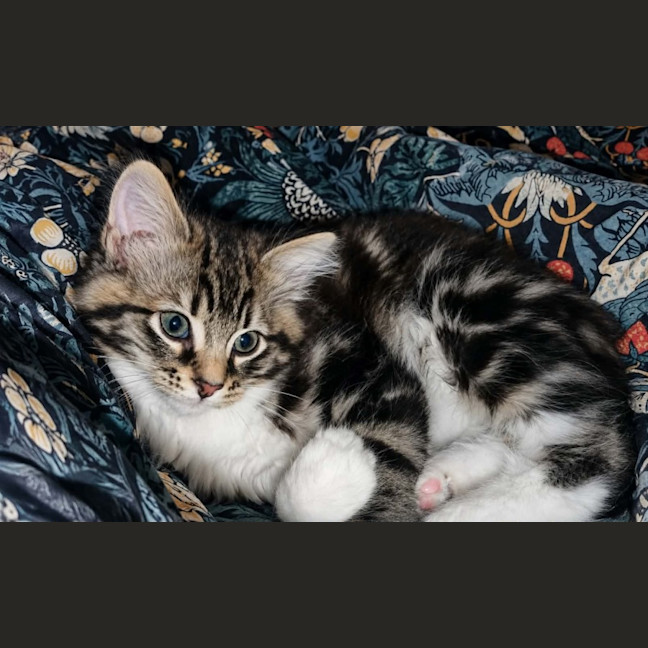 Photo of Betty 