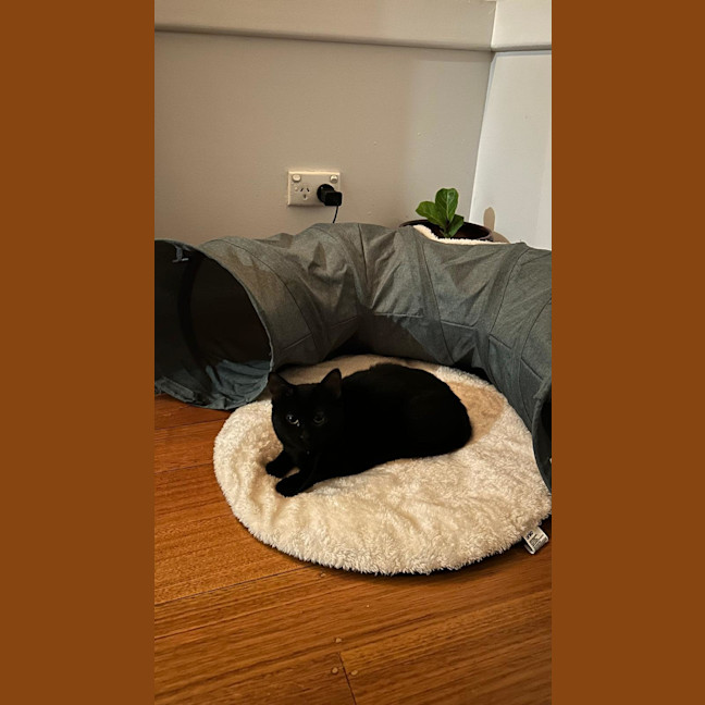 Photo of Maddy