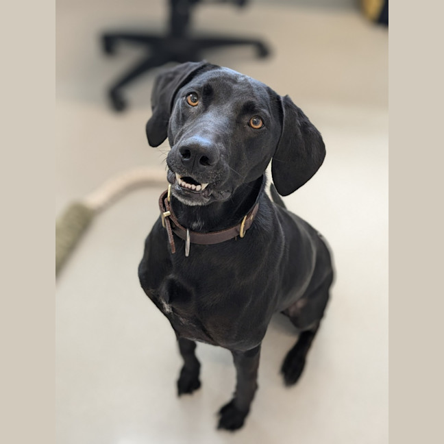 Photo of 🍁 Lucy 5575 🍁