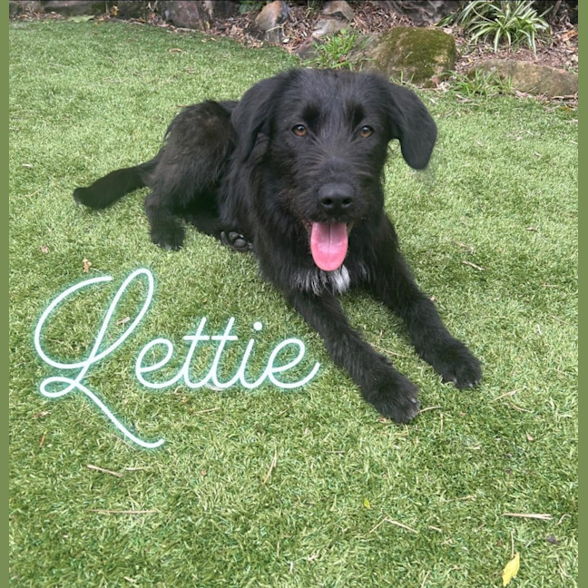 Photo of Lettie