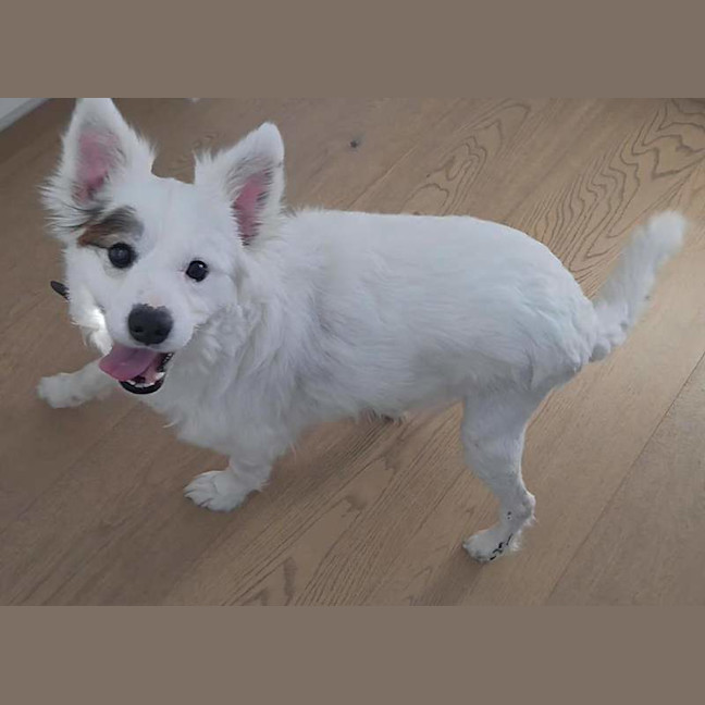 Photo of Kasper