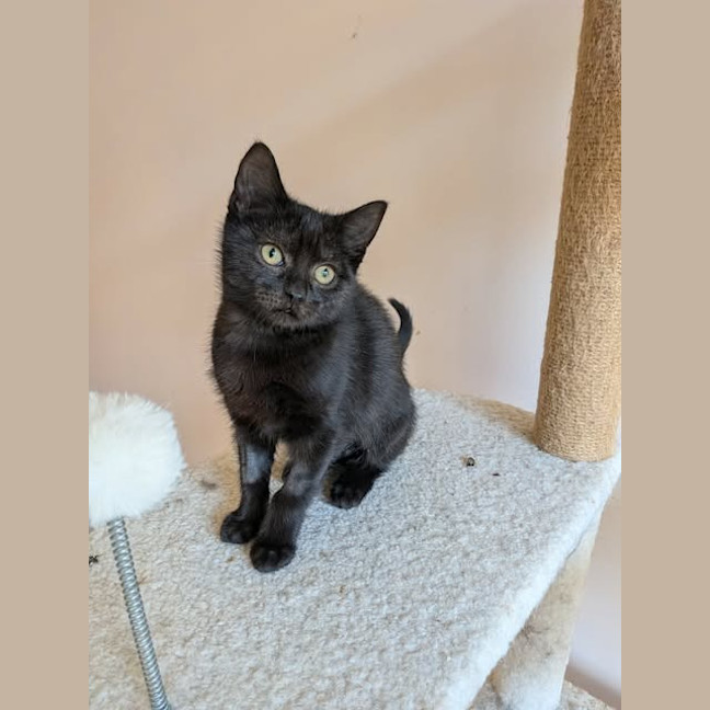 Photo of Fifi