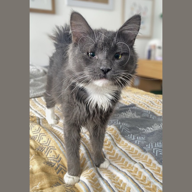 Photo of Arlo