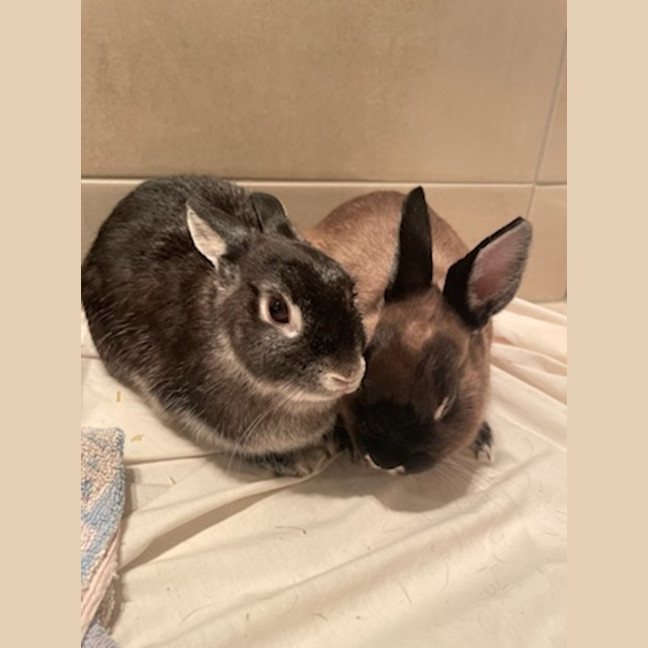 Photo of Alex & Dobbie