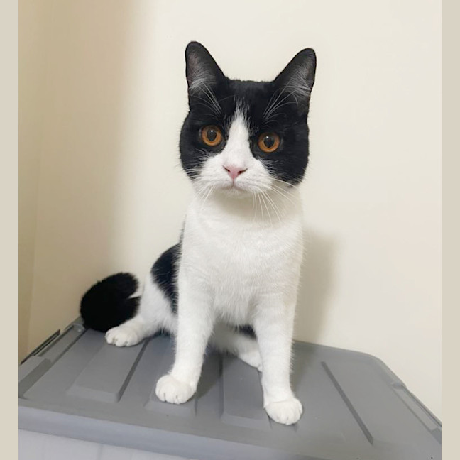 Photo of 🍀Blanaid🍀