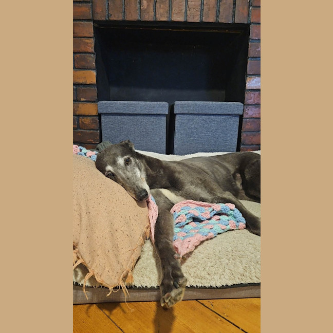 Photo of Flame
