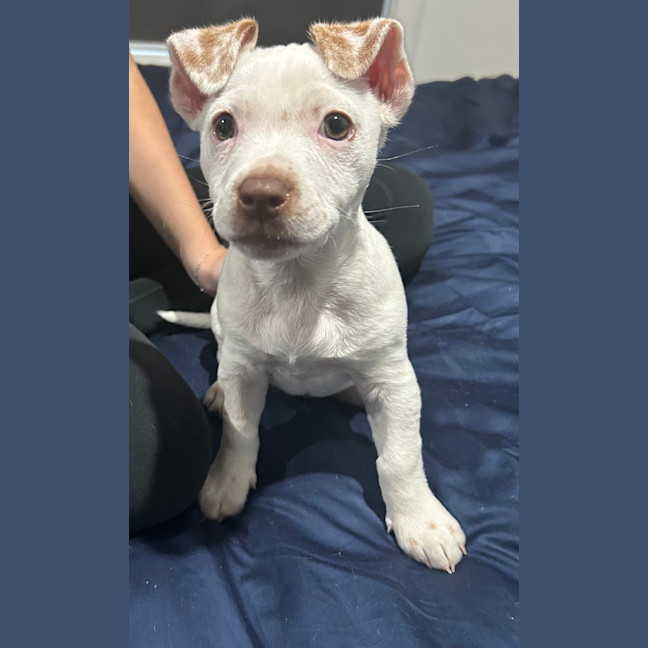 Photo of Gyn (Was Luna)