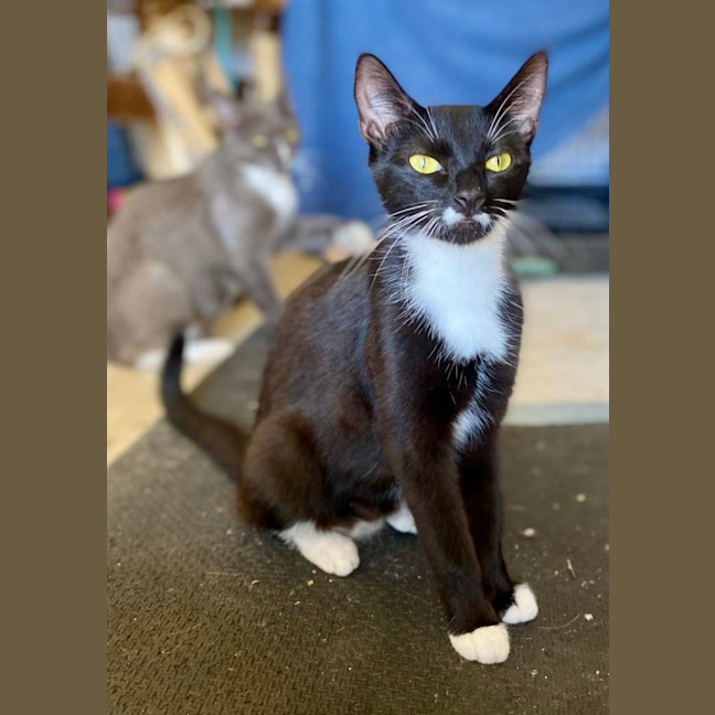 Photo of Edwina & Trixie