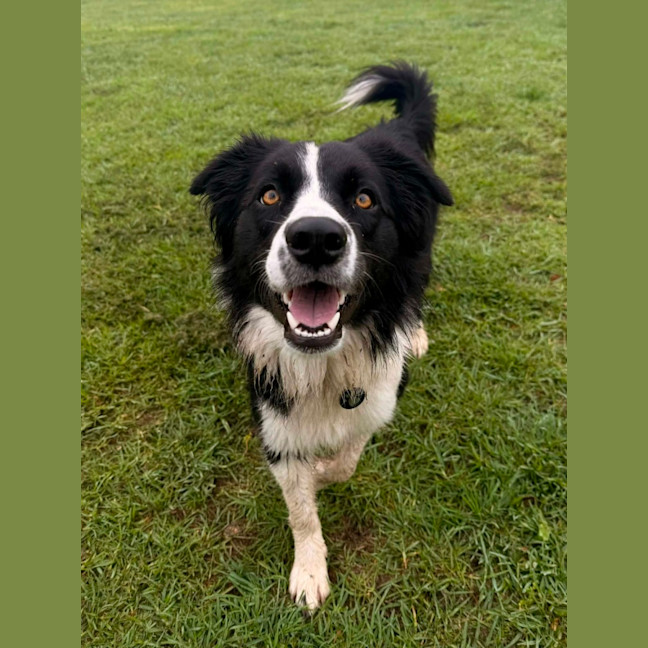 Photo of Nellie