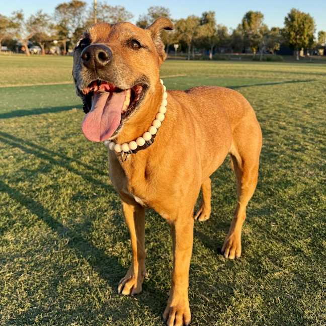 Photo of Kya