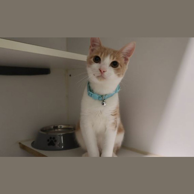 Photo of Lenny
