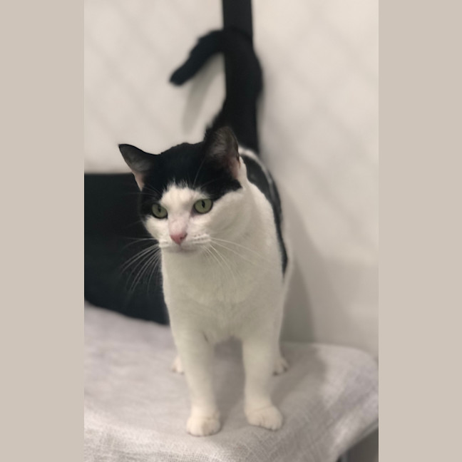 Photo of Alice