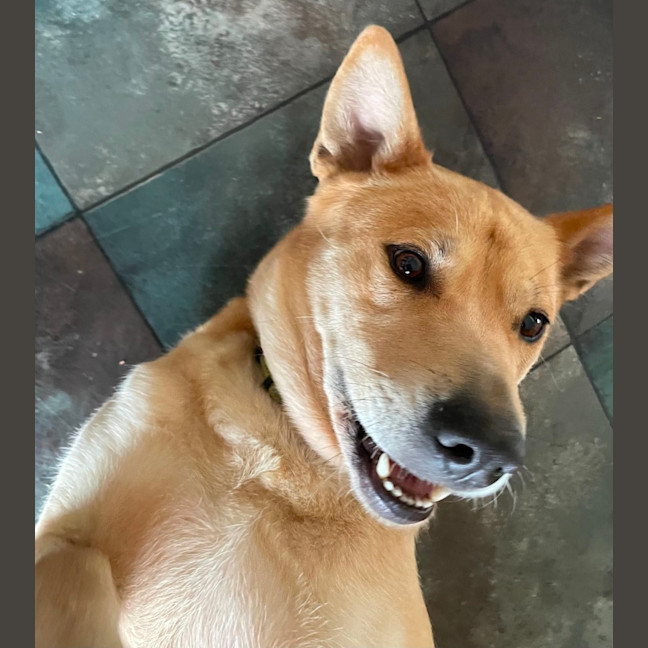 Photo of Kiana