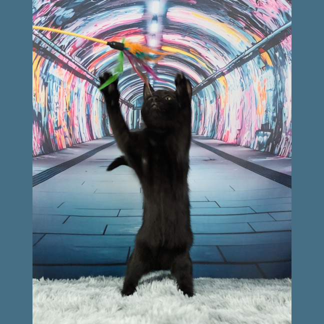 Photo of The Riddler