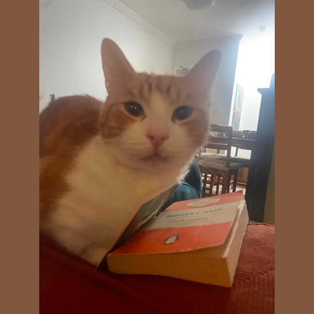 Photo of Fred