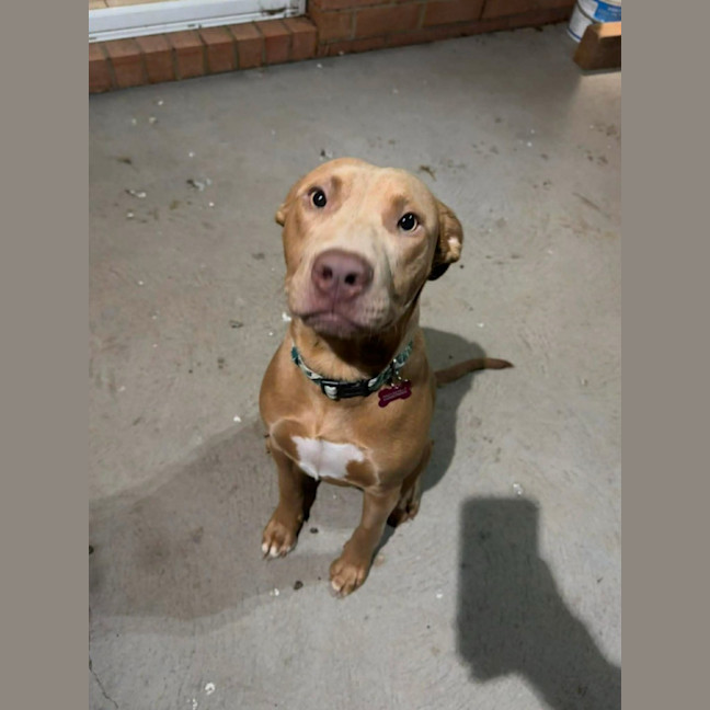 Photo of Buster