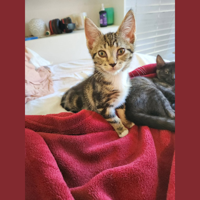 Photo of Tabatha