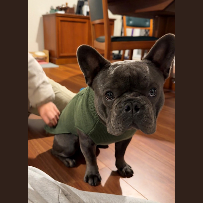 Photo of Nigel