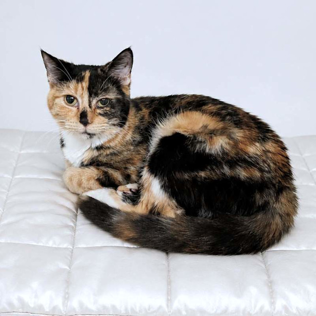 Photo of Rosie