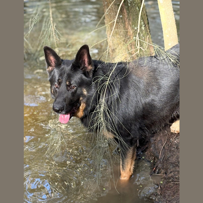 Photo of Max