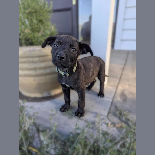 Photo of Wednesday