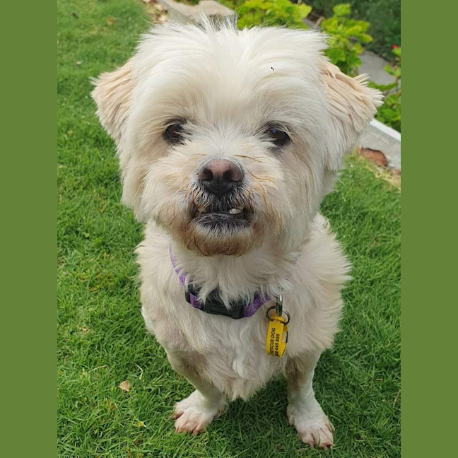 Photo of Roxy