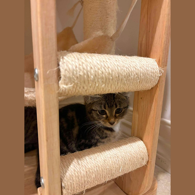 Photo of Suki