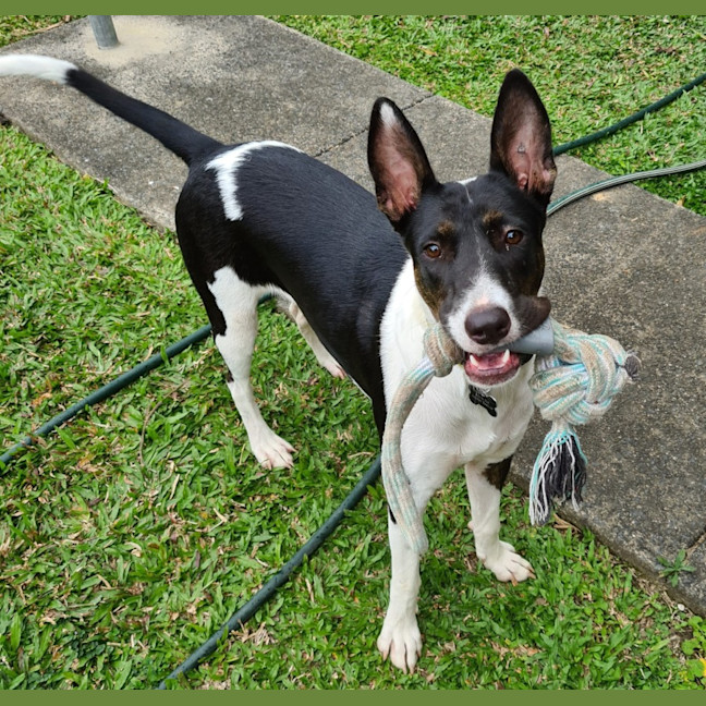 Photo of Tess