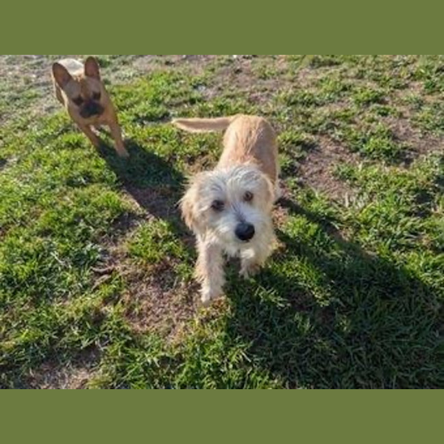 Photo of Georgie O'cleary