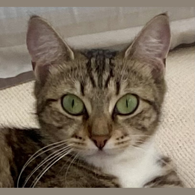 Photo of Bonny
