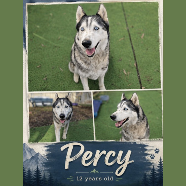 Photo of Percy